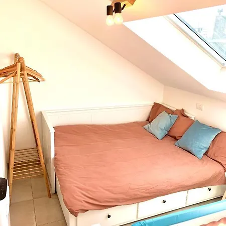 Duplex Plus Lejlighed